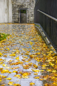 A private pathway in Mullingar where the leaves are wet on the ground.